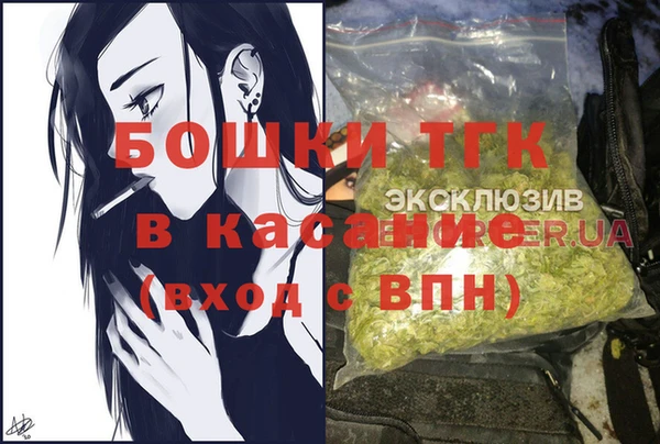молекула духа Абинск