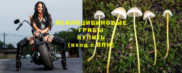 метадон Абдулино